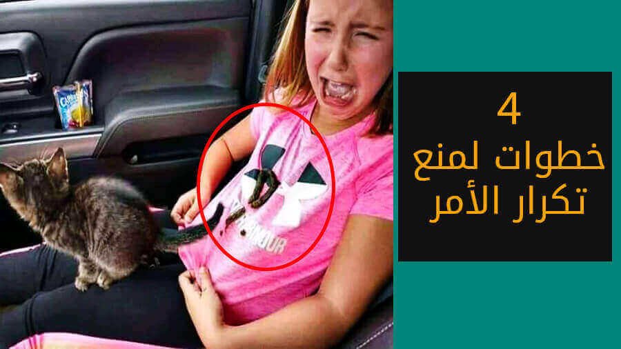 ماذا تفعل إذا قطتك فعلت خارج اللتر بوكس